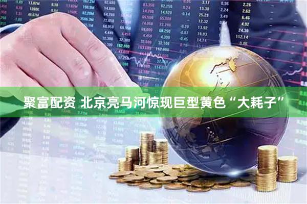 聚富配资 北京亮马河惊现巨型黄色“大耗子”